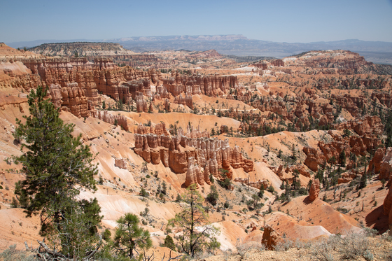 Bryce Canyon National Park 