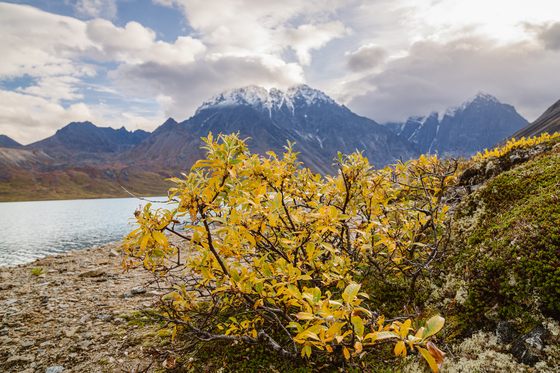 Lake Clark National Park and Preserve