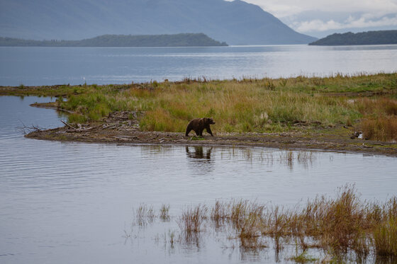 Katmai National Park and Preserve 