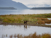 Katmai National Park