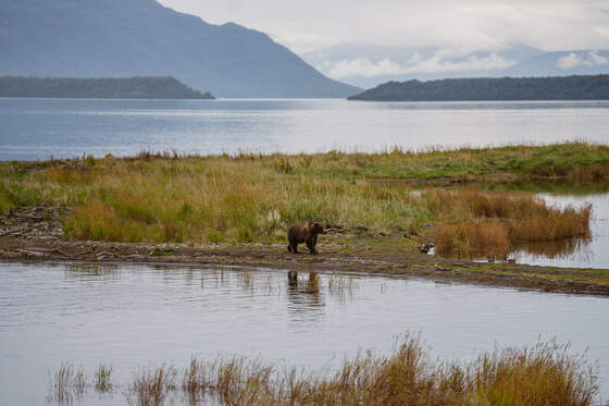 Katmai National Park
