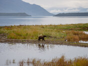 Katmai National Park