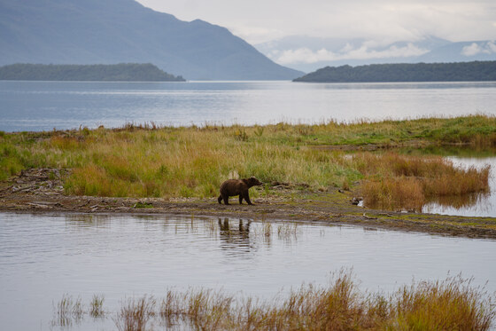Katmai National Park