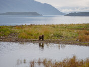 Katmai National Park