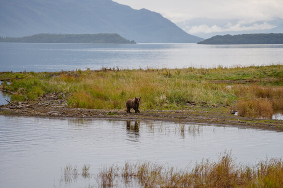 Katmai National Park