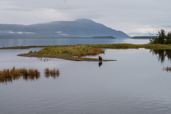 Katmai National Park and Preserve