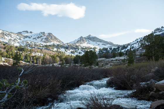 Humboldt-Toiyabe National Forest
