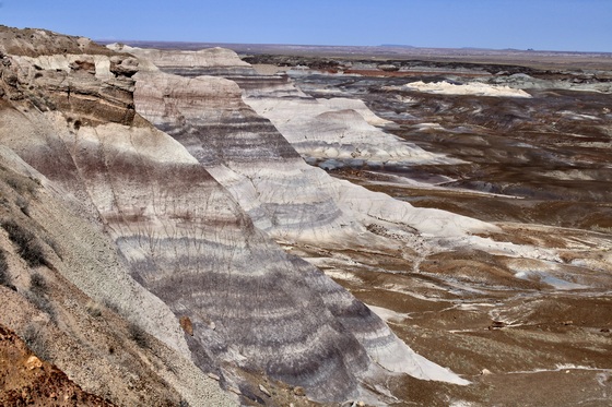 Petrified Forest National Park
