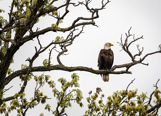 Sherburne National Wildlife Refuge