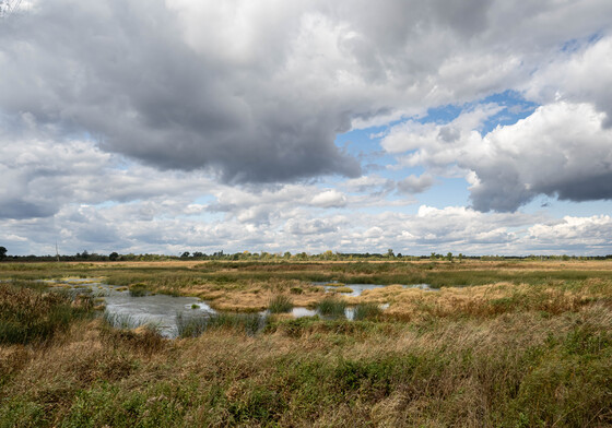 Sherburne National Wildlife Refuge