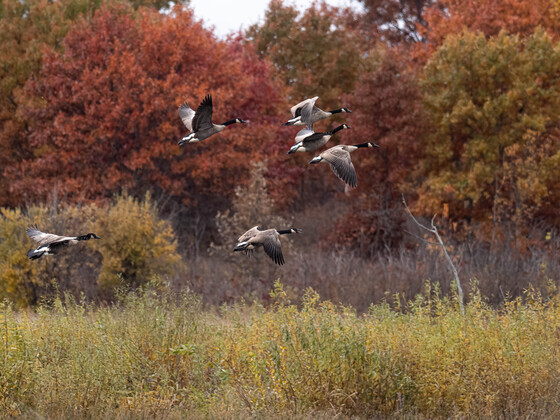 Sherburne National Wildlife Refuge