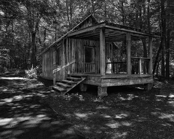 Pisgah National Forest