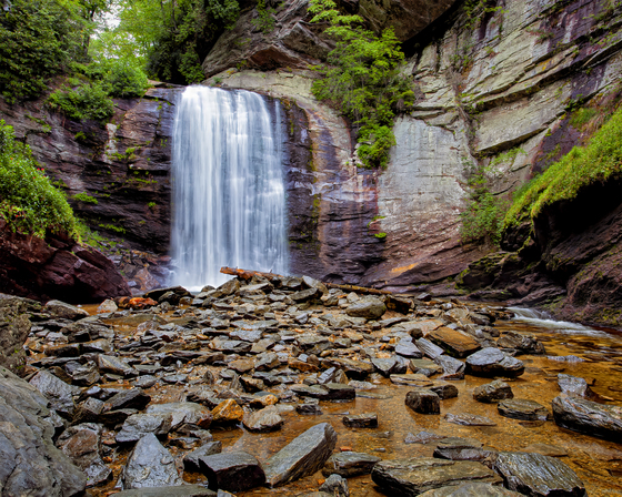 Pisgah National Forest