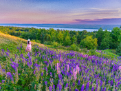 Not just ice — Newfoundland blooms too 💜