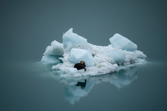 Glacier Bay National Park