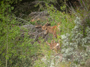 l'm Not What You're Looking For..