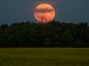 Full buck moon