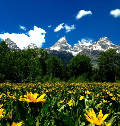 Grand Teton National Park