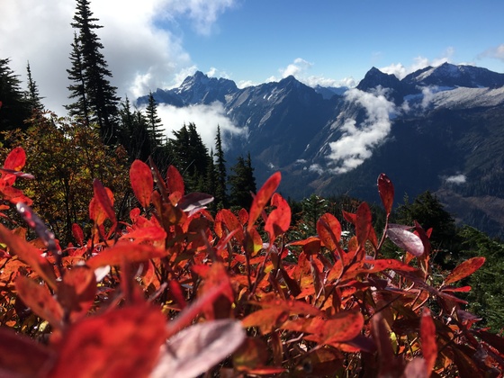 Mt Baker-Snoqualmie National Forest