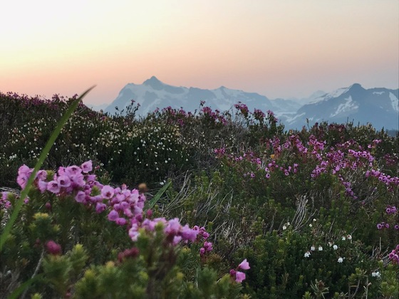 Mt Baker-Snoqualmie National Forest