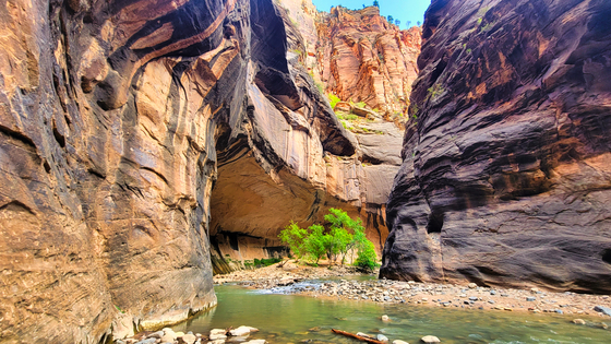 Zion National Park