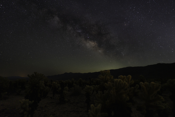 Joshua Tree National Park