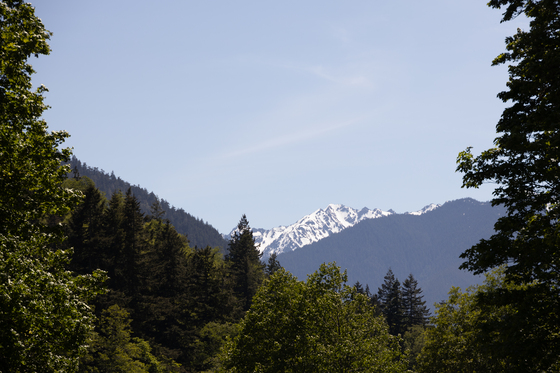 Olympic National Park