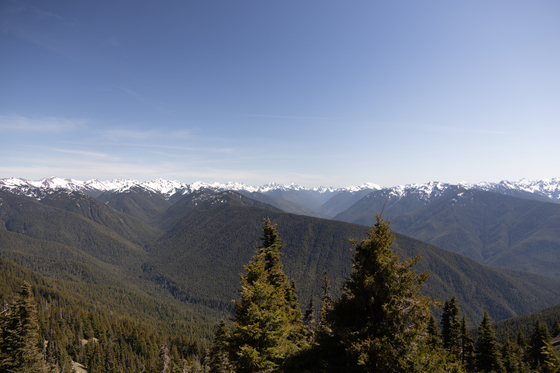 Olympic National Park