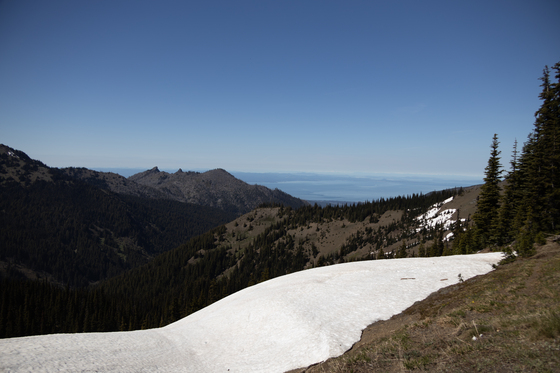 Olympic National Park