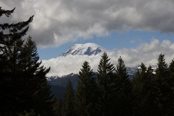 Mount Rainier National Park