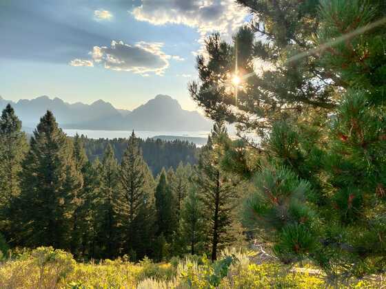 Grand Teton National Park