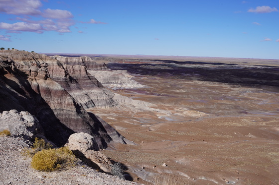Petrified Forest National Park