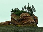 Bay of Fundy shoreline