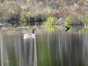 Calm and serene moment