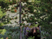 Grand Teton National Park