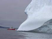 Nature's Sculpture Gallery