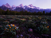 Grand Teton National Park