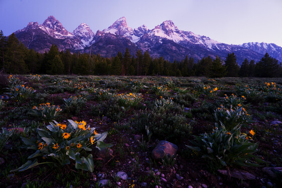 Grand Teton National Park