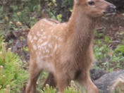 Rocky Mountain National Park