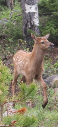 Rocky Mountain National Park