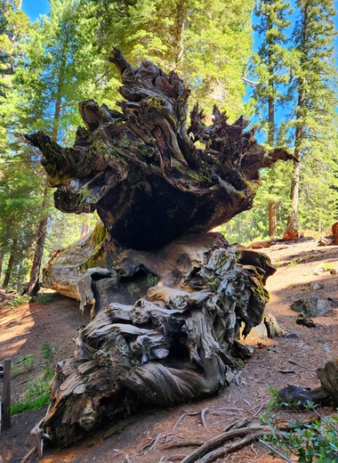 Sequoia and Kings Canyon National Parks
