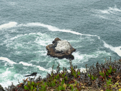 Point Reyes National Seashore