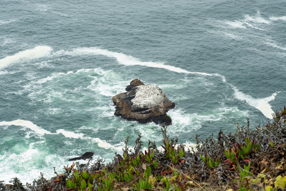 Point Reyes National Seashore