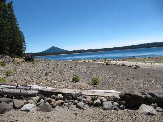 Lake Crescent Lodge