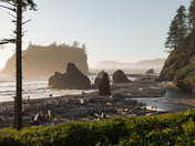 Olympic National Park