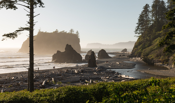 Olympic National Park