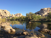 Joshua Tree National Park