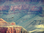 Grand Canyon National Park