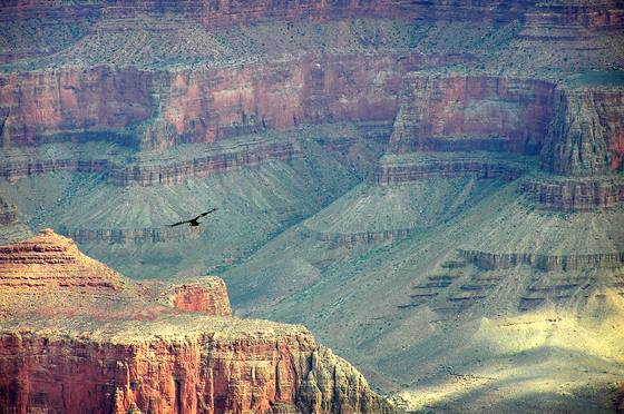 Grand Canyon National Park