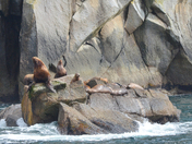 Kenai Fjords National Park